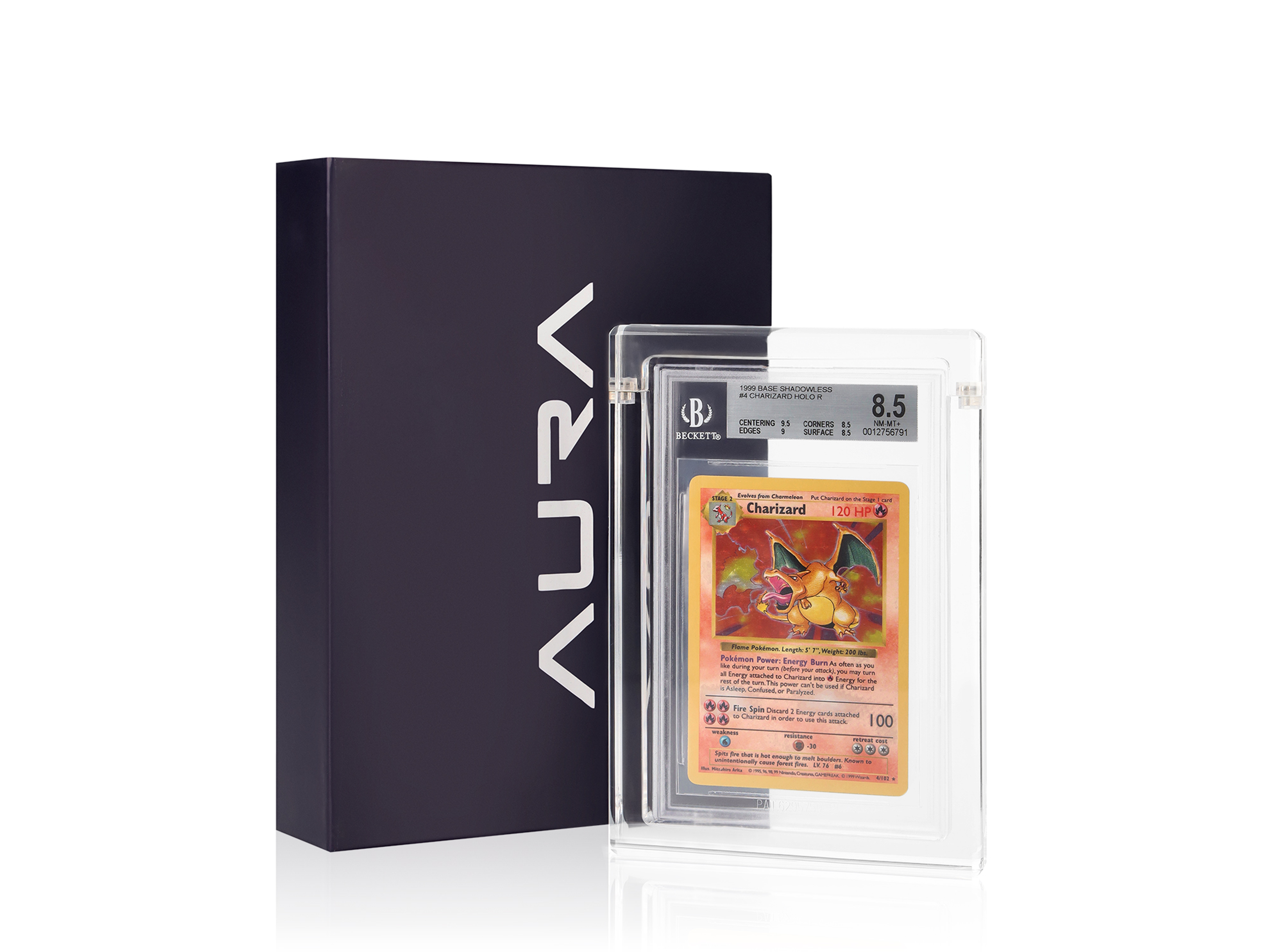 BGS Case